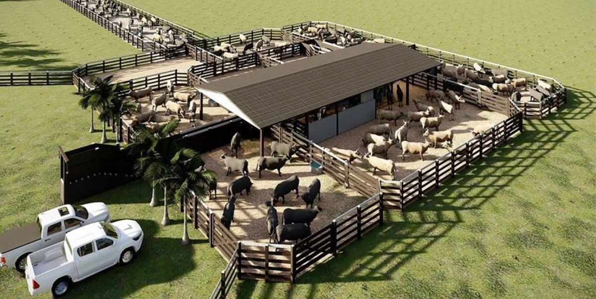 Curral Eficiente – Manejo Inteligente